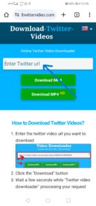downloadtwittervideo.com