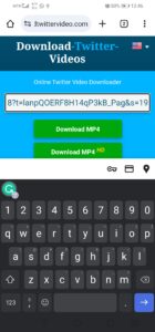 downloadtwittervideo.com