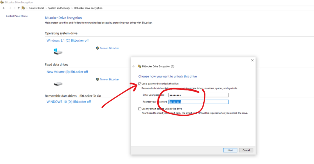 Password option is chosen for the unlocking of this Drive